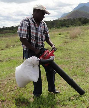 Harvesting SpexNPV-infected armyworm larvae on pasture with a vacuum blower