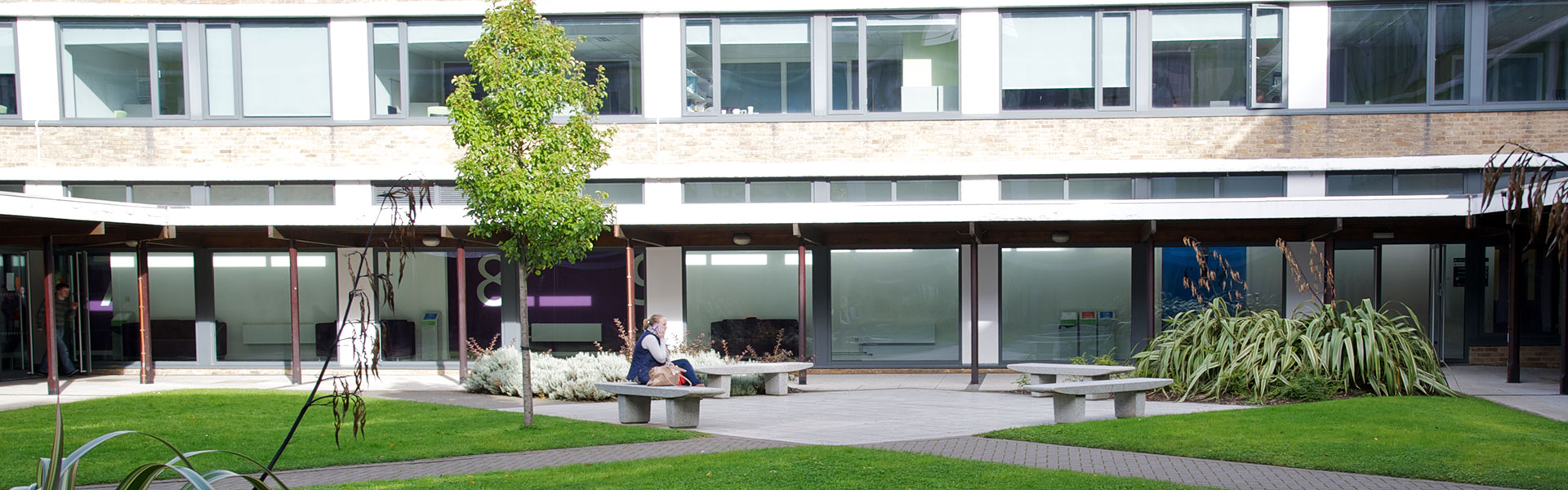 A lady sitting on a bench, taking a call. There are green shrubs and offices in the background.
