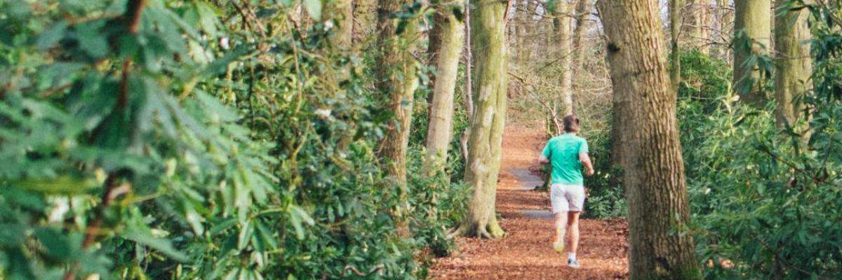 A person running on the university woodland trail