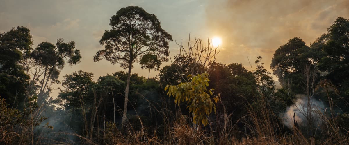 Forest fires in the Amazon rainforest.