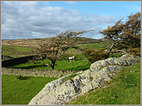 Firbank Fell: site of chapel and graveyard from ‘Foxs Pulpit’