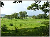 Fields between Over Kellet & Capernwray