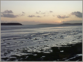 Bay downstream, tide coming in