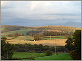 Ingleborough across fields from Yealand Conyers 