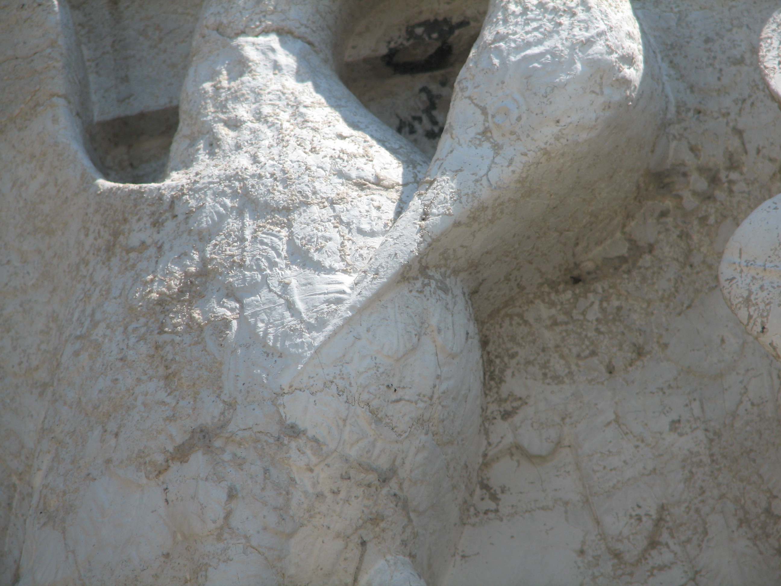 Lower arcade. Detail of 2nd Capital. Birds. The feather between mandibles