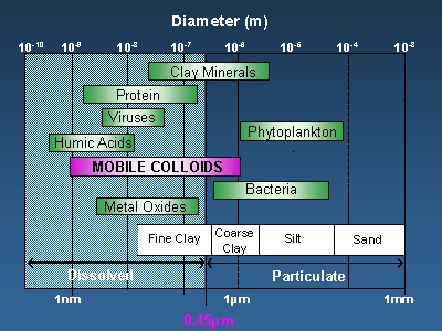 Colloids as vehicles for P transfer