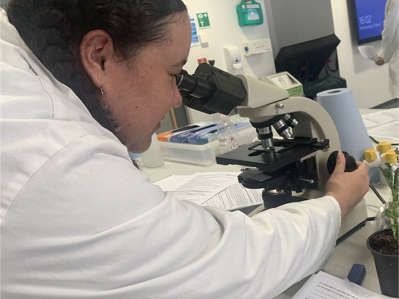 Student Lyea in a lab using a microscope.