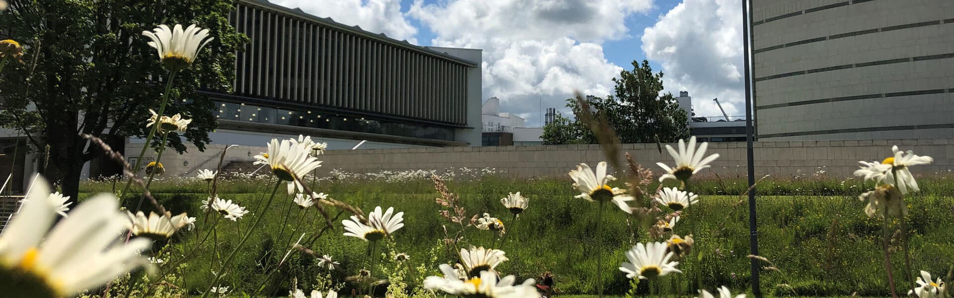 Staff walking outside on Lancaster University Campus