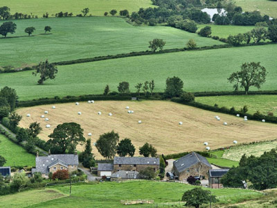 Rural area of farmsteads and fields