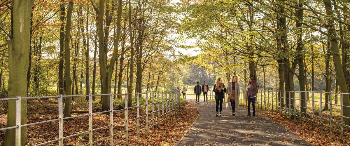 Group of students walking through trees on the Lancaster University campus.