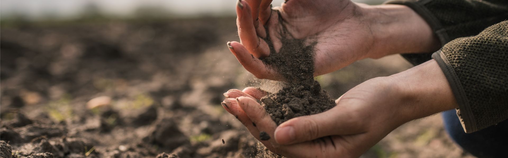 A person pouring soil from their hands