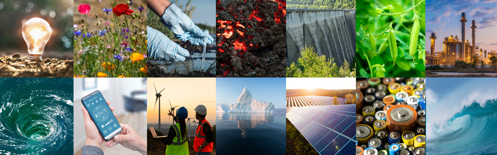 A collage of images representing energy and nature