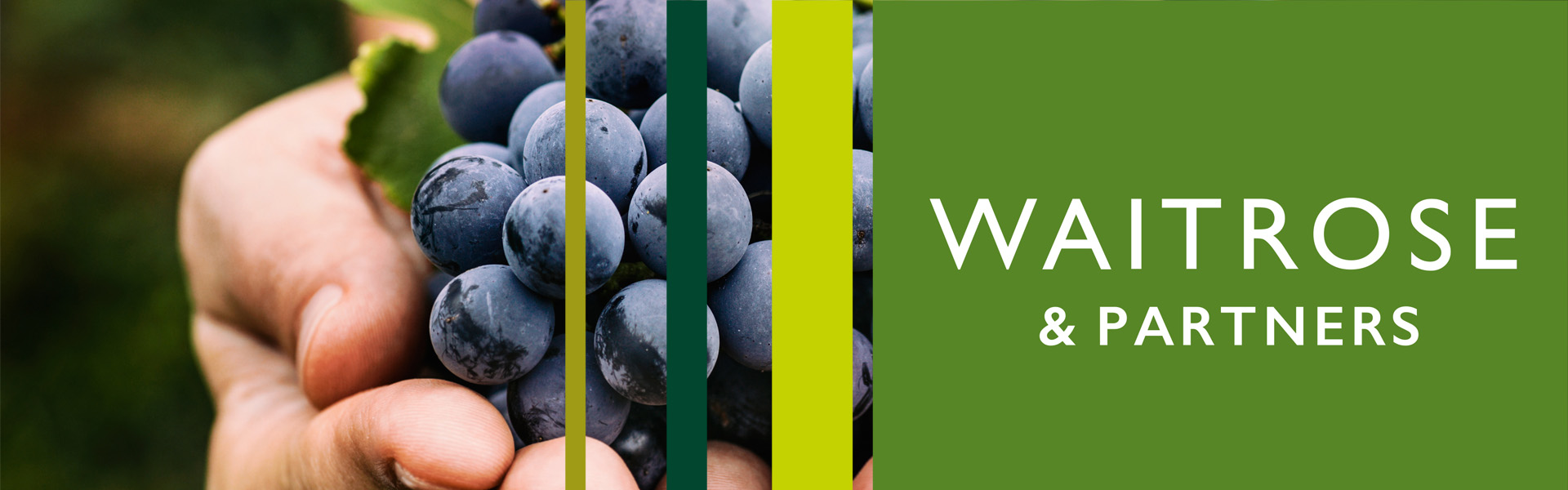 The Waitrose logo superimposed onto someone holding a bunch of grapes