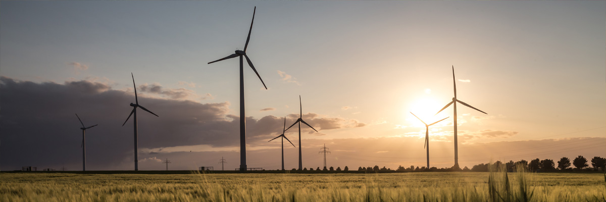 Wind turbines near a crop field