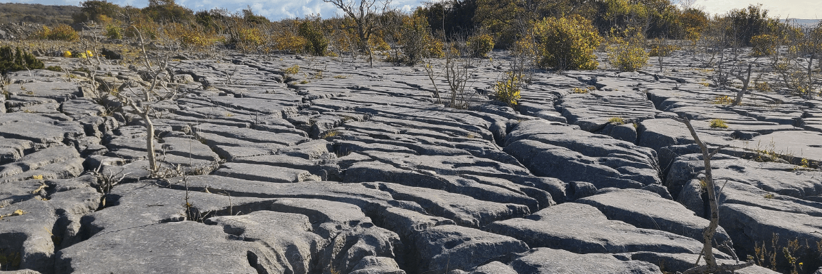 A limestone pavement