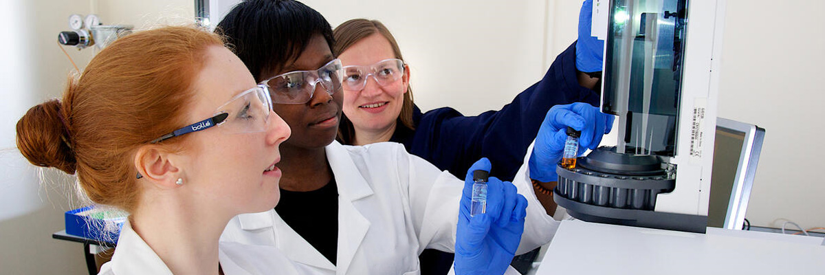 Staff and students analysing a compound