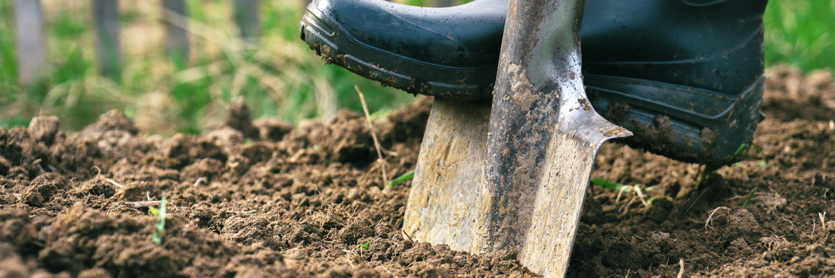 A person digging in soil with a shovel