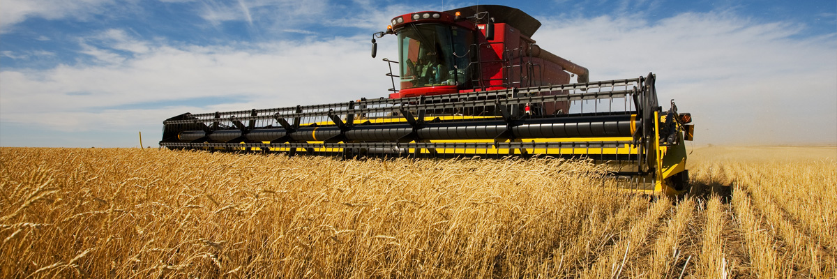 A combine harvester