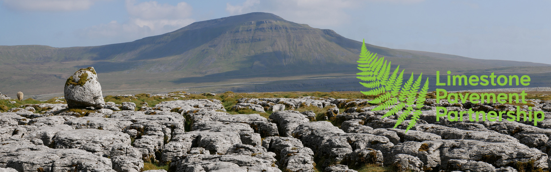 A limestone pavement formation with the Limestone Pavement Partnership logo superimposed