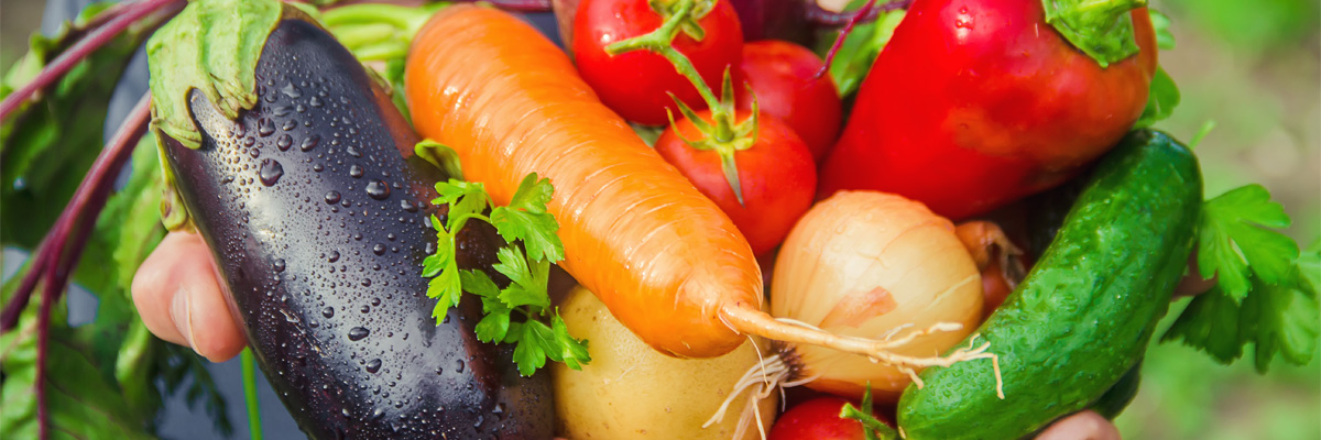 A person holding an assortment of vegetables