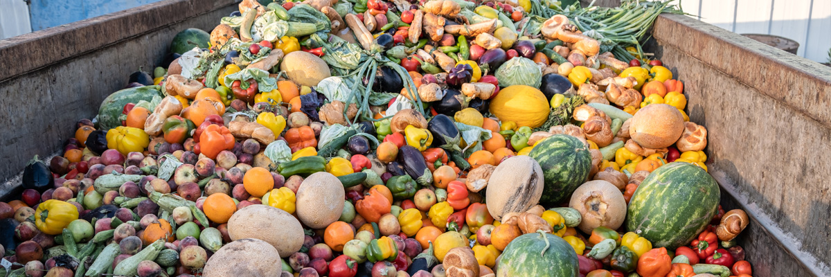 Vegetables in a skip