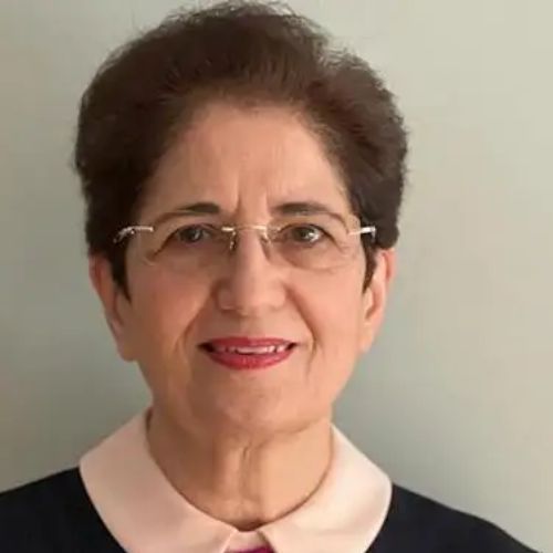Professor Farideh Honary