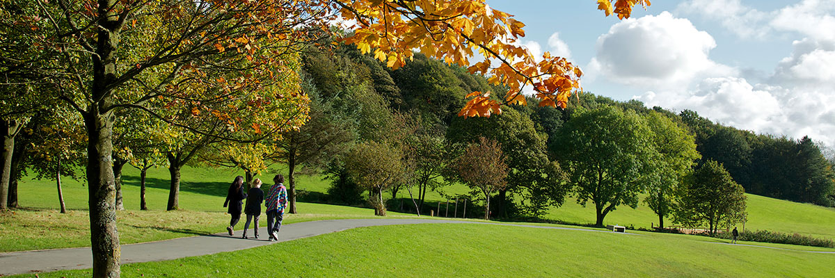 A group of people walk on a path across some parkland, surrounded by autumnal trees