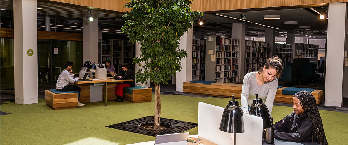 Two students in the library