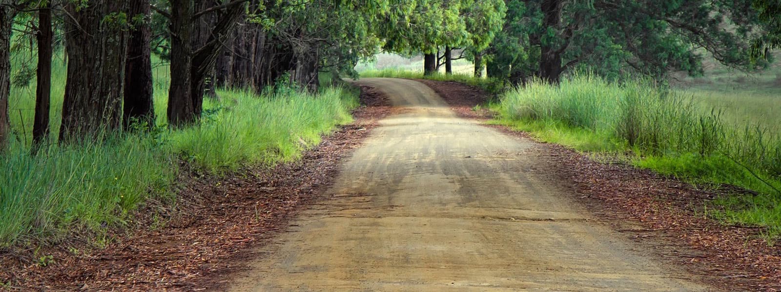 photo of country road