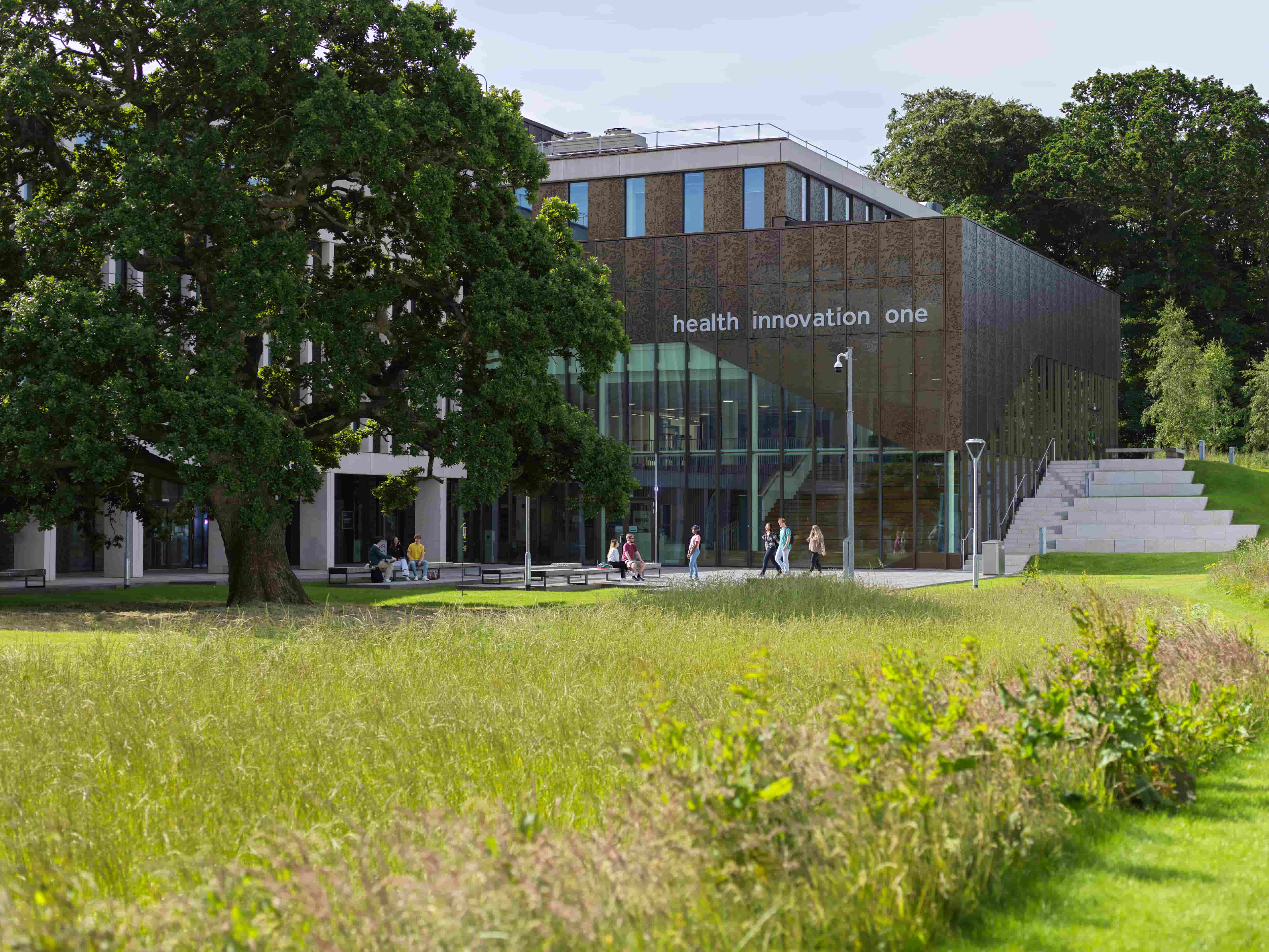 Health Innovation One with a large tree in the foreground