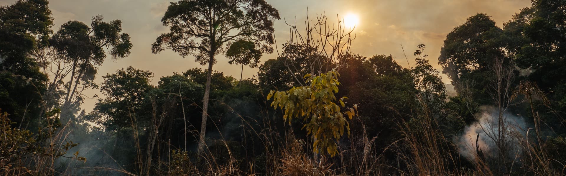 Forest fires in the Amazon rainforest.