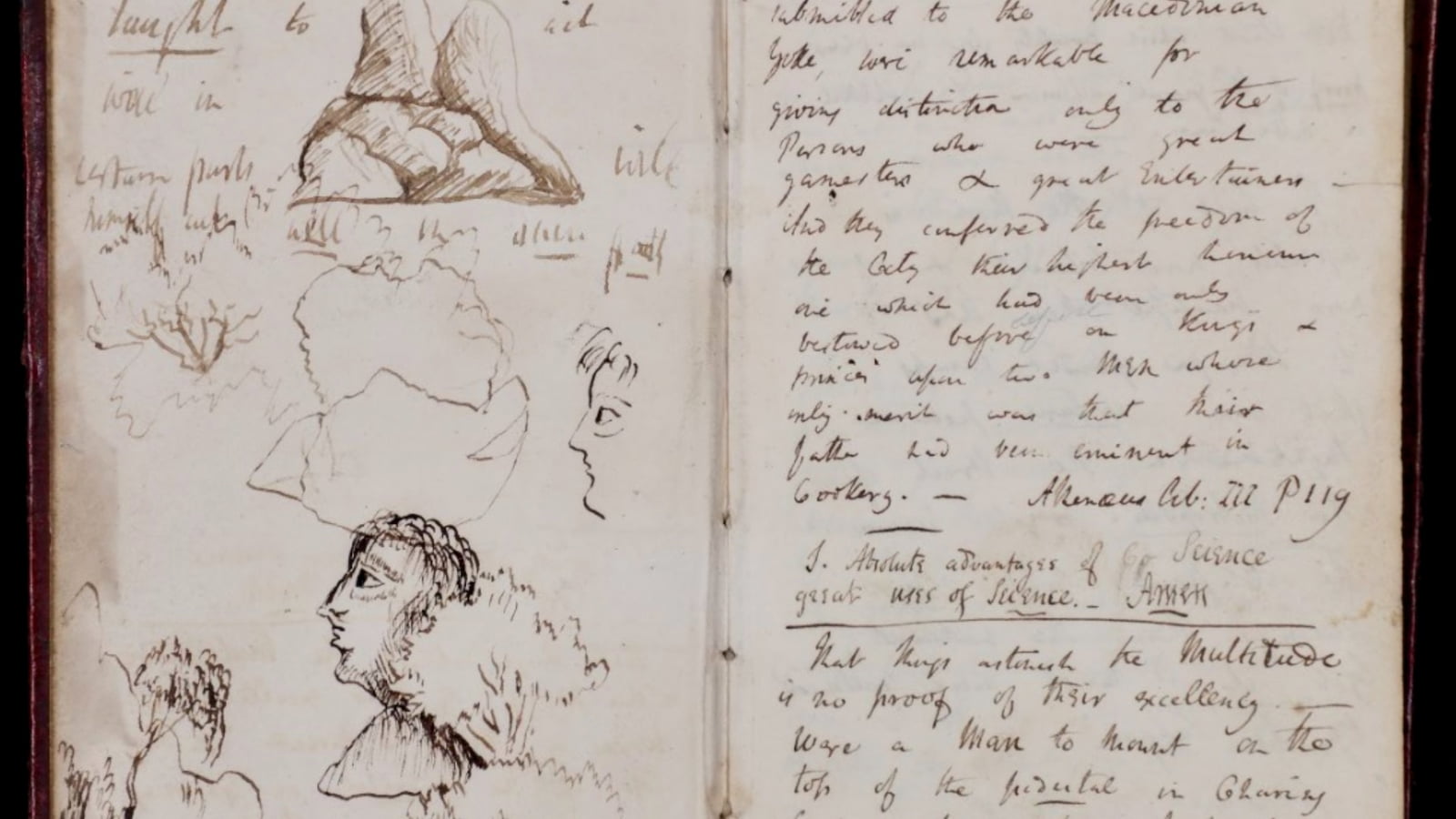 An image of text and sketches in fountain pen from Sir Humphry Davy's note books.