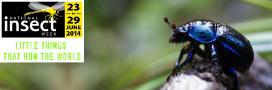 Dung Beetle (UK)© Milous Chab | Dreamstime.com