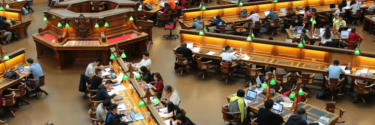 People studying in a library