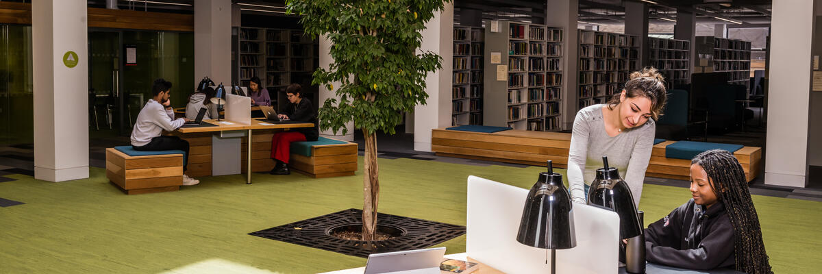 Students studying in the library 