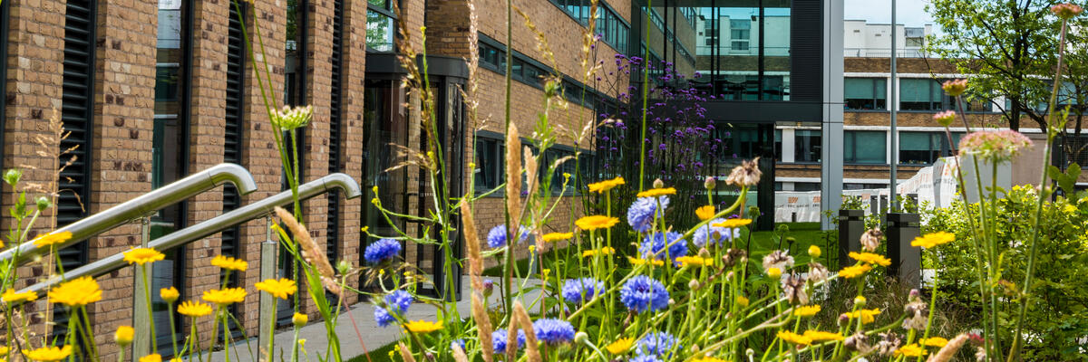 Chemistry exterior flowers