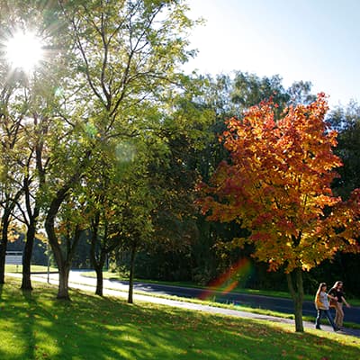 Campus main drive