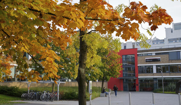 Richardson Institute - Lancaster University