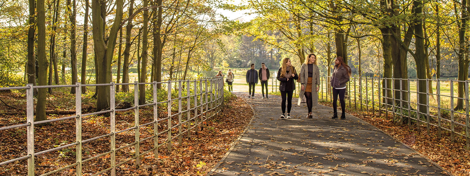 Students walking towards us on a path through woodland on a sunny autumn day