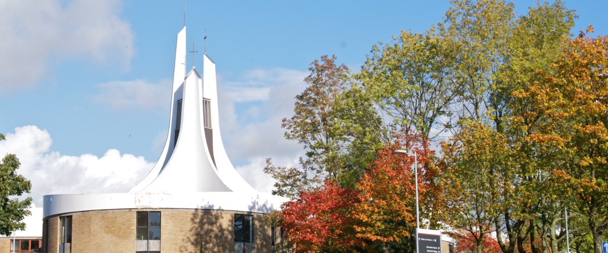 The roof of the Chaplaincy Centre surrounded by autumnal trees