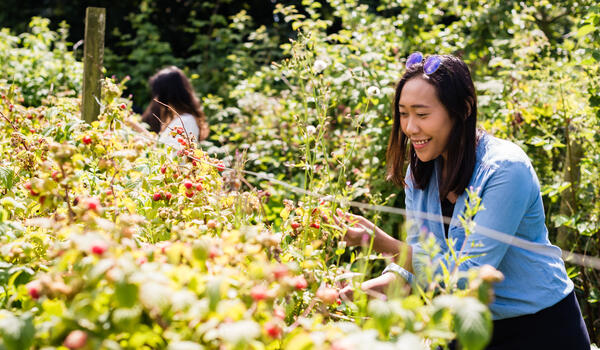 Student looking at flowers on campus