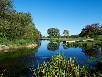 A lake surrounded by trees and foliage.