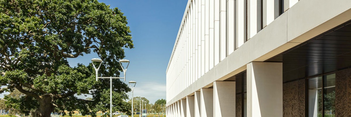 A large oak tree grows next to the Health Innovation building