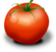 a tomato fruit