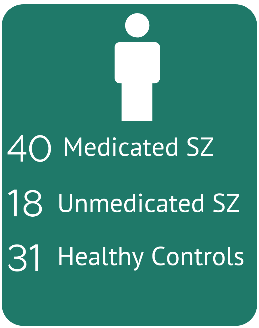 An infographic describing the number of participants in the study. The box is dark green. At the top is a white stick figure. The white text underneath has three lines. The first line says, "40 Medicated SZ". The next line says "18 Unmedicated SZ" and the third line says "31 Healthy controls"