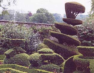 Photo of topiary at Levens Hall
