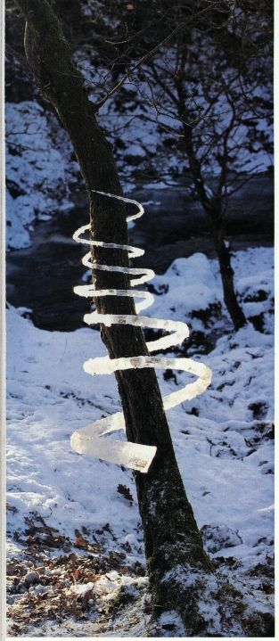 photo by Andy Goldsworthy