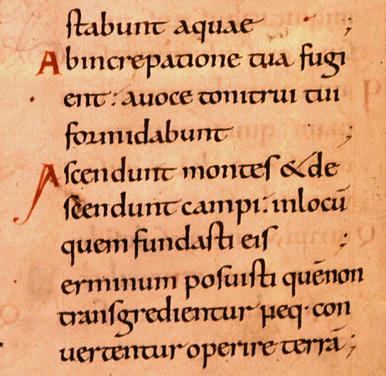 Carolingian Minuscule Section Six